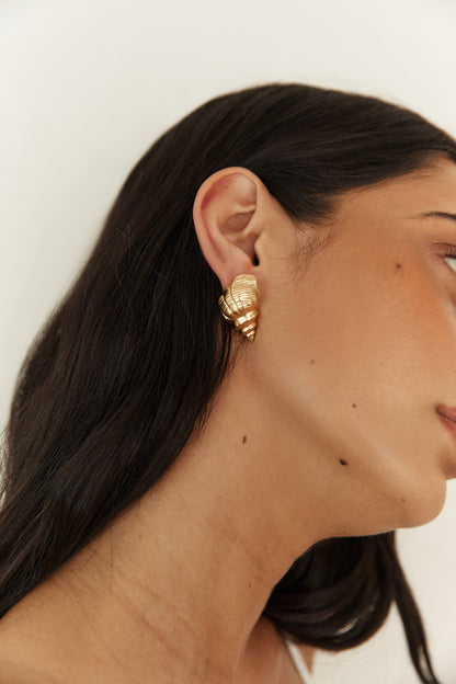 18K Gold Plated Find Your Shell Earrings